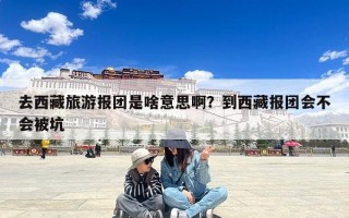 去西藏旅游报团是啥意思啊？到西藏报团会不会被坑