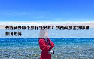 去西藏去哪个旅行社好呢？到西藏旅游到哪里参团划算