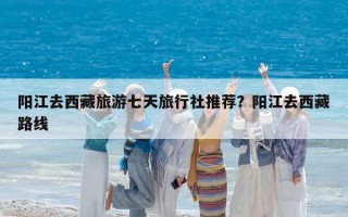 阳江去西藏旅游七天旅行社推荐？阳江去西藏路线