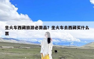 坐火车西藏旅游必需品？坐火车去西藏买什么票