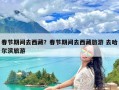 春节期间去西藏？春节期间去西藏旅游 去哈尔滨旅游