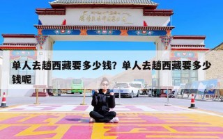单人去趟西藏要多少钱？单人去趟西藏要多少钱呢
