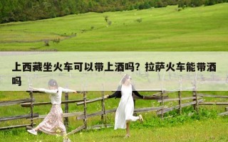 上西藏坐火车可以带上酒吗？拉萨火车能带酒吗