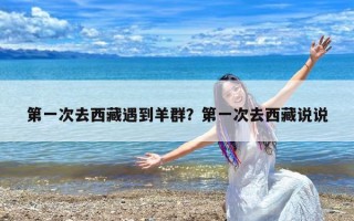 第一次去西藏遇到羊群？第一次去西藏说说