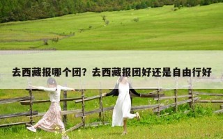 去西藏报哪个团？去西藏报团好还是自由行好