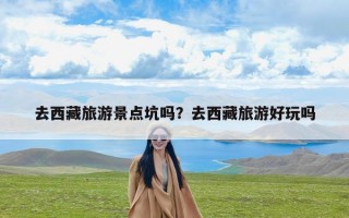 去西藏旅游景点坑吗？去西藏旅游好玩吗