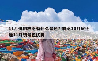 11月份的林芝有什么景色？林芝10月底还是11月初景色优美