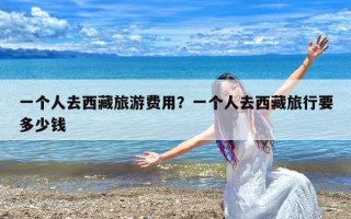 一个人去西藏旅游费用？一个人去西藏旅行要多少钱