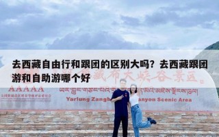 去西藏自由行和跟团的区别大吗？去西藏跟团游和自助游哪个好