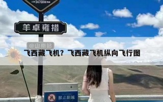 飞西藏飞机？飞西藏飞机纵向飞行图