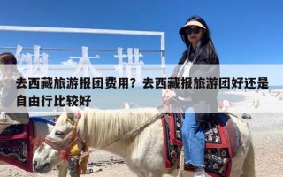 去西藏旅游报团费用？去西藏报旅游团好还是自由行比较好