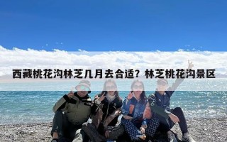 西藏桃花沟林芝几月去合适？林芝桃花沟景区