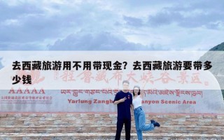 去西藏旅游用不用带现金？去西藏旅游要带多少钱