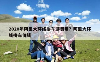 2020年阿里大环线拼车游费用？阿里大环线拼车价钱