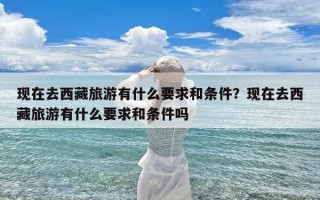 现在去西藏旅游有什么要求和条件？现在去西藏旅游有什么要求和条件吗