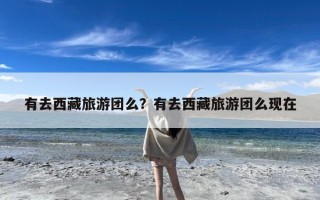 有去西藏旅游团么？有去西藏旅游团么现在