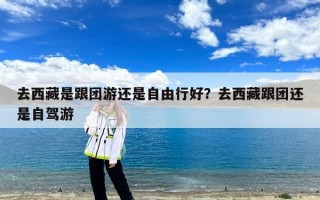 去西藏是跟团游还是自由行好？去西藏跟团还是自驾游