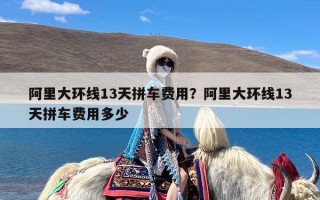 阿里大环线13天拼车费用？阿里大环线13天拼车费用多少
