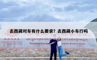 去西藏对车有什么要求？去西藏小车行吗