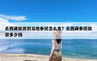 去西藏旅游到当地参团怎么走？去西藏参团旅游多少钱