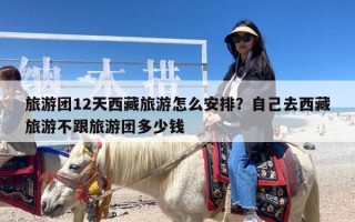 旅游团12天西藏旅游怎么安排？自己去西藏旅游不跟旅游团多少钱