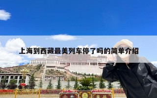 上海到西藏最美列车停了吗的简单介绍