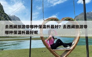 去西藏旅游带哪种保温杯最好？去西藏旅游带哪种保温杯最好呢