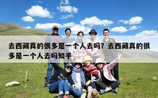去西藏真的很多是一个人去吗？去西藏真的很多是一个人去吗知乎