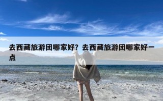 去西藏旅游团哪家好？去西藏旅游团哪家好一点