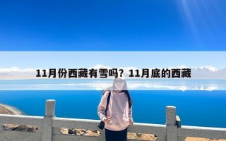 11月份西藏有雪吗？11月底的西藏