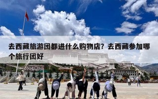 去西藏旅游团都进什么购物店？去西藏参加哪个旅行团好