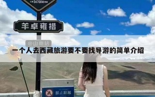 一个人去西藏旅游要不要找导游的简单介绍
