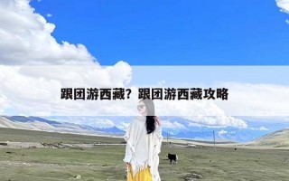 跟团游西藏？跟团游西藏攻略