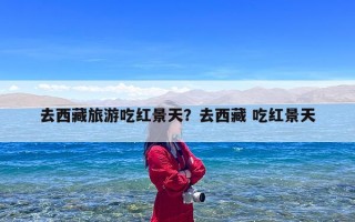 去西藏旅游吃红景天？去西藏 吃红景天