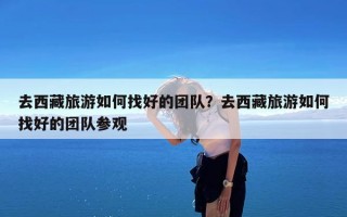 去西藏旅游如何找好的团队？去西藏旅游如何找好的团队参观
