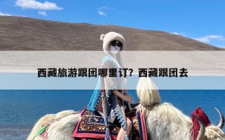 西藏旅游跟团哪里订？西藏跟团去