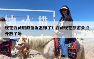 现在西藏旅游情况怎样了？西藏现在旅游景点开放了吗