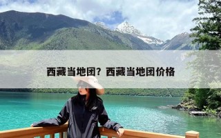 西藏当地团？西藏当地团价格