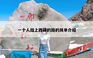 一个人踏上西藏的路的简单介绍