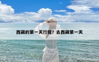 西藏的第一天行程？去西藏第一天