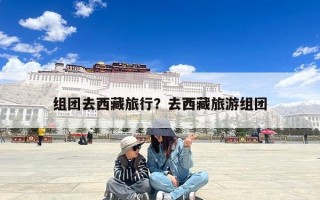 组团去西藏旅行？去西藏旅游组团