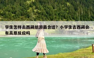 学生怎样去西藏旅游最合适？小学生去西藏会有高原反应吗