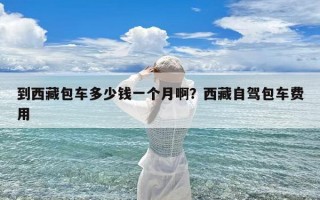 到西藏包车多少钱一个月啊？西藏自驾包车费用