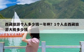 西藏旅游个人多少钱一年啊？1个人去西藏旅游大概多少钱