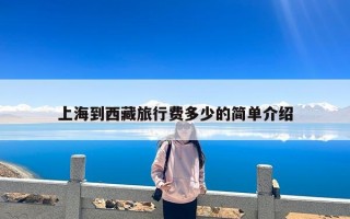 上海到西藏旅行费多少的简单介绍