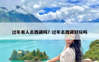 过年有人去西藏吗？过年去西藏好玩吗