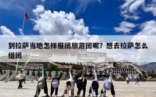 到拉萨当地怎样报团旅游团呢？想去拉萨怎么组团