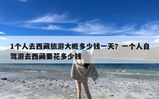 1个人去西藏旅游大概多少钱一天？一个人自驾游去西藏要花多少钱