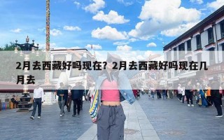 2月去西藏好吗现在？2月去西藏好吗现在几月去