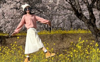 情侣三月份去西藏玩一趟要花多少钱？三月去西藏旅游一周推荐的路线？